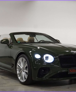 Bentley Continental(car)