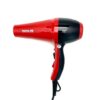Panasonic 6669 Hair Dryer